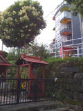 mabuȃJ[